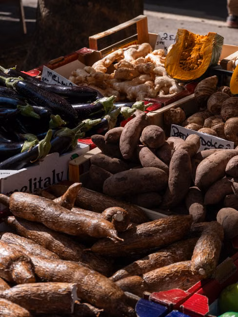 Agromercado Lacador LTDA